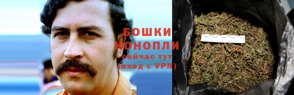 прущие грибы Волоколамск
