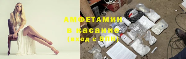прущие грибы Волоколамск