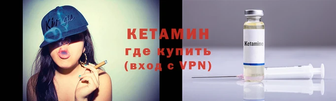 прущие грибы Волоколамск