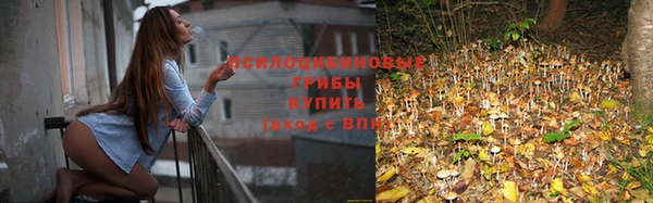 эйфоретик Волосово