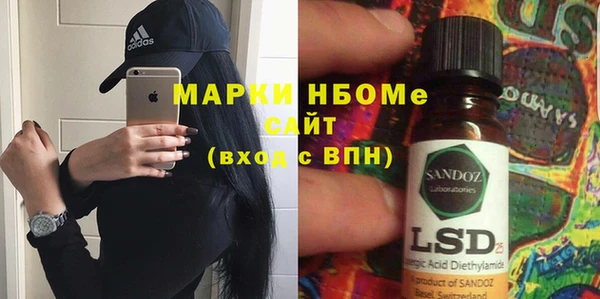 прущие грибы Волоколамск