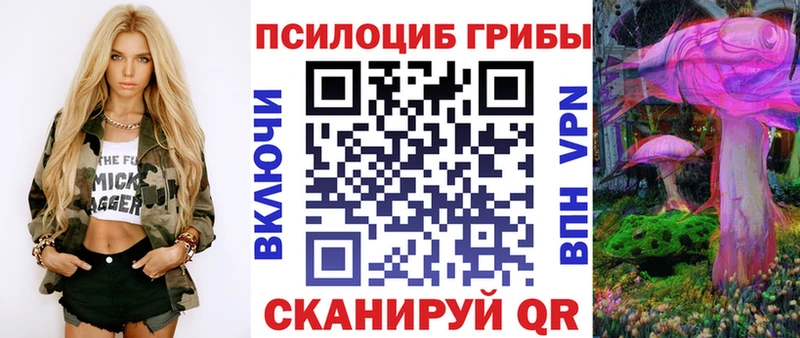 Псилоцибиновые грибы мицелий гидра как войти Долинск купить наркоту